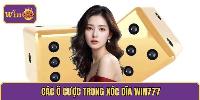 Các ô cược trong xóc dĩa WIN777