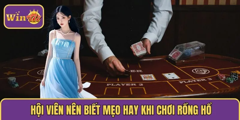 Hội viên nên biết mẹo hay khi chơi rồng hổ